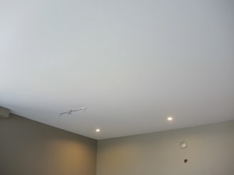 Какой вид потолка вы хотите установить? - Обычный